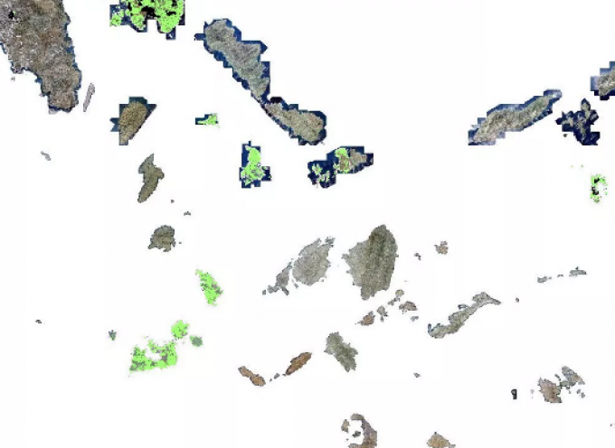 Αν. ΥΠΕΝ, Σ. Φάμελλος: «Βελτιώσεις της δασικής νομοθεσίας για τα νησιά, μέσω των δασικών χαρτών, ετοιμάζει το ΥΠΕΝ»