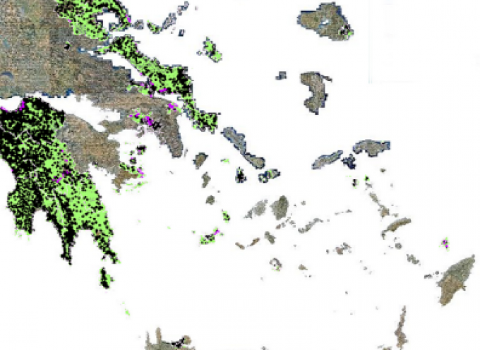 Κοινή δήλωση βουλευτών του ΣΥΡΙΖΑ για τους δασικούς χάρτες στις νησιωτικές περιοχές