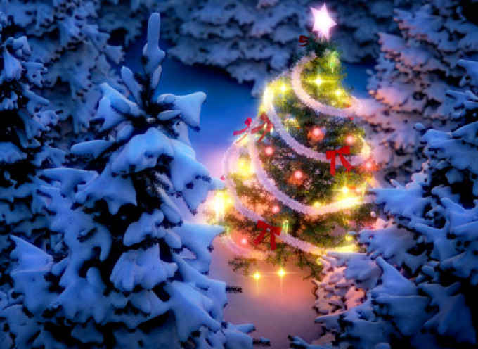 Ο Δ.Α.Π.Π.Ο.Σ ανάβει το χριστουγεννιάτικο δέντρο τη Δευτέρα 16 Δεκεμβρίου στις 18:00