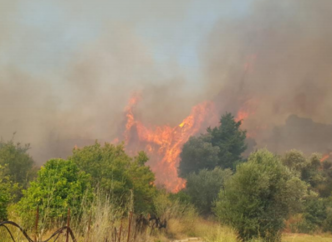 Περιφερειακή Πυροσβεστική Διοίκηση Ν. Αιγαίου: Συστάσεις και απαγορεύσεις για τον καθαρισμό οικοπέδων