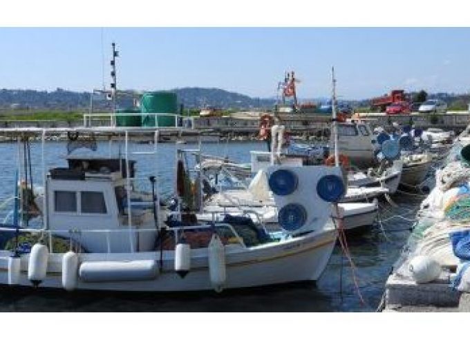 ΠΝΑΙ: Συνεχίζονται οι αποζημιώσεις, λόγω Covid-19, από το επιχειρησιακό πρόγραμμα αλιείας
