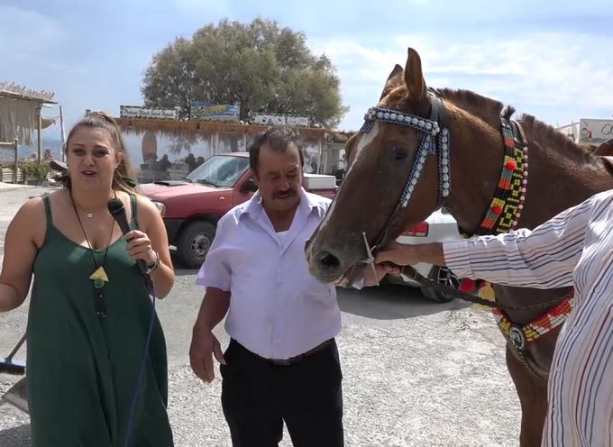 BINTEO:Η Γεωργία Δίελλα καταγράφει το έθιμο με τα άλογα στον Σταυρό στην Περίσσα 14 9 2021
