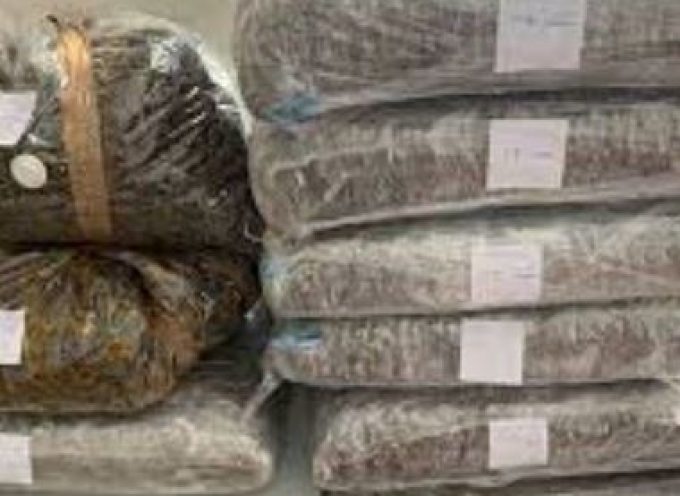 Μεγάλη επιτυχία της Αστυνομικής Υποδιεύθυνσης Θήρας- Ανακάλυψαν σε ερημική  περιοχή του Ακρωτηρίου πάνω από 40 κιλά ποσότητας ναρκωτικών.