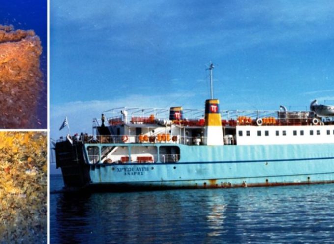 Το ναυάγιο του «Χρυσή Αυγή» εντοπίστηκε στο Κάβο Ντόρο – Η τραγική ιστορία του πλοίου