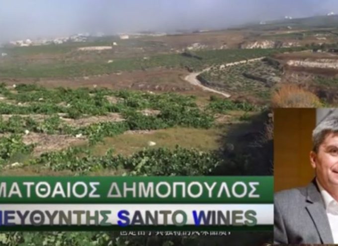 Ο ΜΑΤΘΑΙΟΣ ΔΗΜΟΠΟΥΛΟΣ ΓΙΑ ΤΑ ΠΡΟΒΛΗΜΑΤΑ ΠΟΥ ΠΡΟΚΑΛΕΣΕ Η ΠΡΟΣΦΑΤΗ ΒΡΟΧΗ ΣΤΟΥΣ ΑΜΠΕΛΩΝΕΣ (ΒΙΝΤΕΟ)