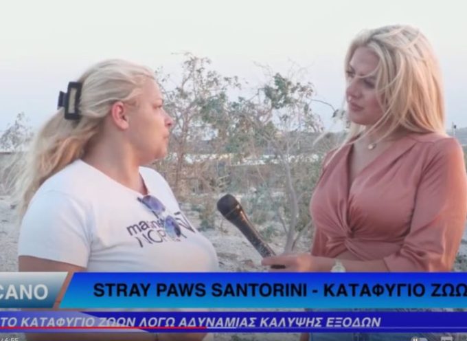 Stray Paws Santorini – Καταφύγιο Ζώων – Ρεπορτάζ με την Τατιάνα Σαββίδου