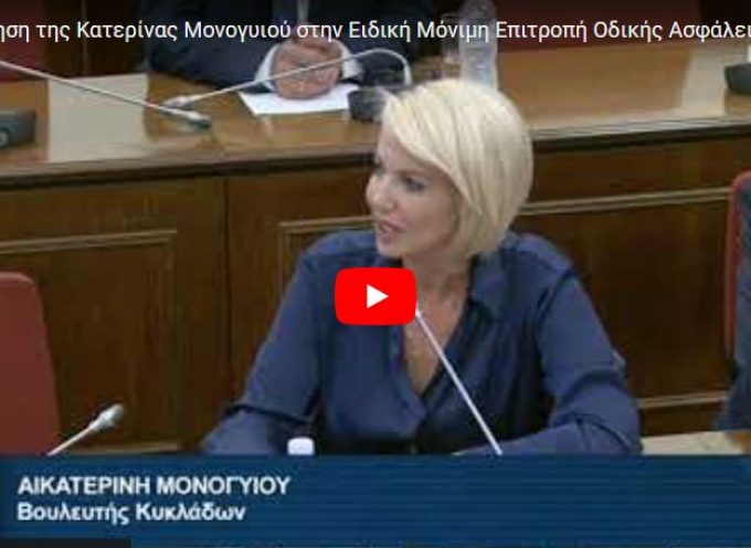 Τοποθέτηση της Κατερίνας Μονογυιού στην Ειδική Μόνιμη Επιτροπή Οδικής Ασφάλειας για τα θύματα τροχαίων δυστυχημάτων