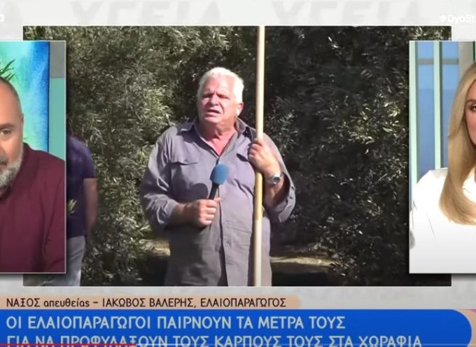 Ι. Βαλέρης σε ΕΡΤ: «Δεν υπάρχει λάδι! Αν φέτος είναι πάλι κακή χρονιά θα χειροτερέψει η κατάσταση!».