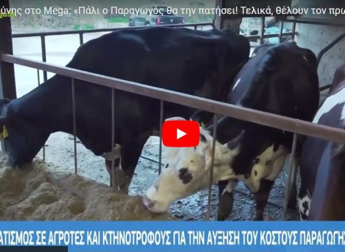 Δ. Καπούνης στο Mega: «Πάλι ο Παραγωγός θα την πατήσει! Τελικά, θέλουν τον πρωτογενή τομέα;».