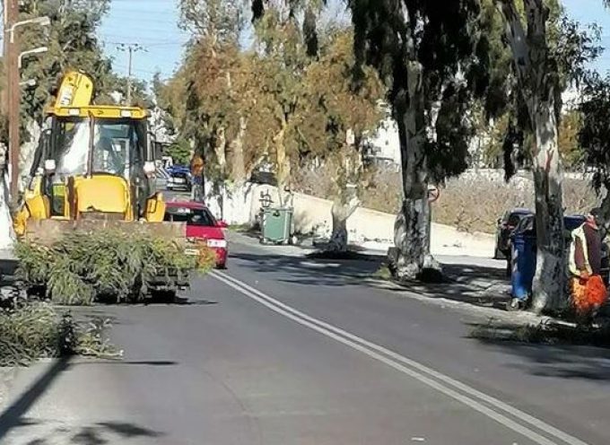 Έπαρχος Θήρας:Παρακαλούνται οι οδηγοί να επιδείξουν την πρέπουσα προσοχή, έως ότου ολοκληρωθούν οι εργασίες κλαδέματος των δέντρων στο επαρχιακό οδικό δίκτυο