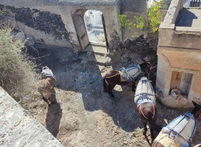 Π.Καβαλλάρης:Όταν ενεργοποιούνται όλες οι δυνάμεις το αποτέλεσμα είναι τελικά αυτό που μετράει .