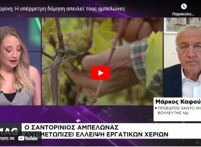 Μ.Καφούρος στην Ναυτεμπορική  για τα προβλήματα που αντιμετωπίζει ο αμπελώνας