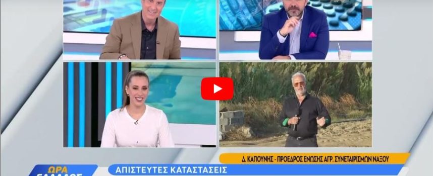 Η λειψυδρία «χτύπησε» την Πατάτα Νάξου, ανεβασμένα τα κόστη του παραγωγού