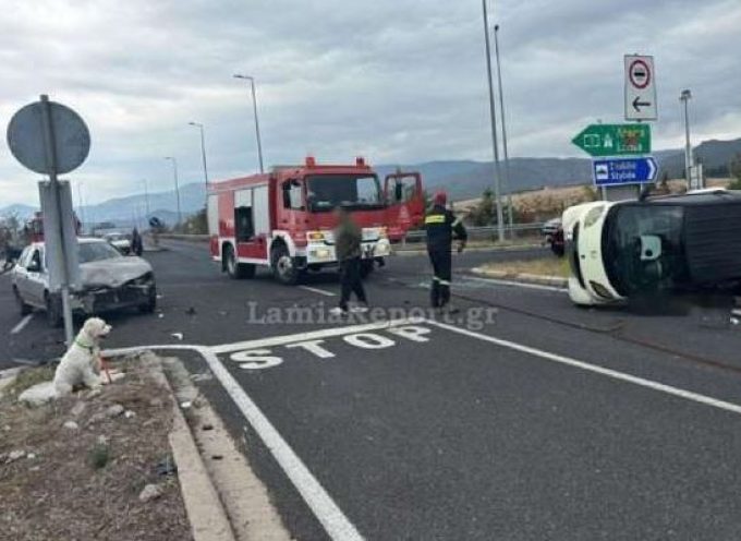 Πήγε στη Λαμία και παρέλαβε το σκυλάκι του ο γιος του 54χρονου συμπατριώτη μας που βρήκε τραγικό θάνατο σε τροχαίο στην Λαμία