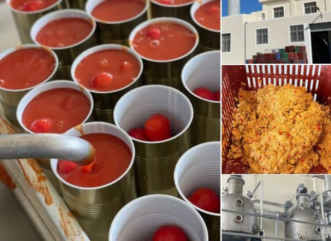 Η κλιματική κρίση και η βαρειά ξηρασία περιόρισαν τη φετεινή παραγωγή σε μόλις δεκαπέντε τόνους νωπής τομάτας