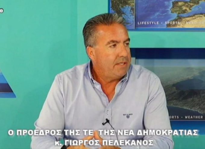 Ο Γ ΠΕΛΕΚΑΝΟΣ ΠΡΟΕΔΡΟΣ ΤΗΣ ΤΕ ΝΔ ΓΙΑ ΤΙΣ ΕΣΩΚΟΜΜΑΤΙΚΕΣ ΕΚΛΟΓΕΣ