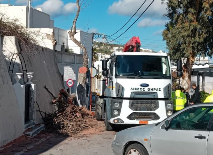 Απομάκρυνση επικίνδυνου δέντρου για λόγους ασφάλειας στην περιοχή Κοντοχωρίου