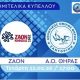 Με στόχο την πρόκρισή στους «4» του Κυπέλλου Ελλάδας ο Α.Ο. Θήρας αντιμετωπίζει σήμερα 11/2 τον ΖΑΟΝ